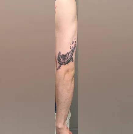 OnlyFans de winstongaming1