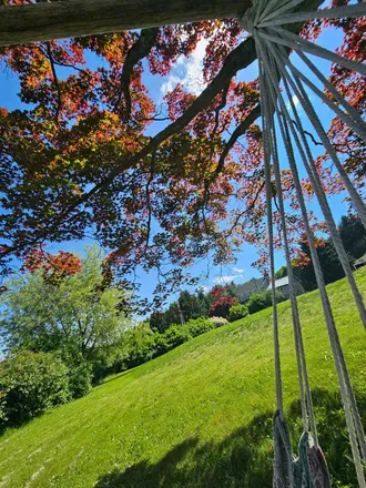 2026-05-12 photo 1