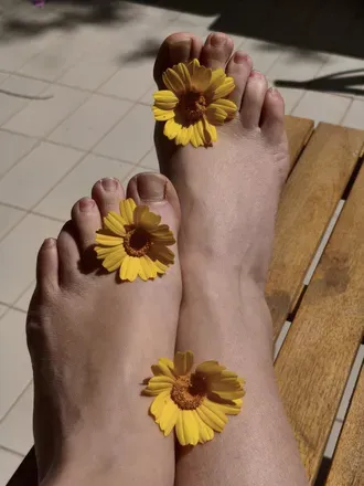 OnlyFans account  softsteps.vip avatar 1