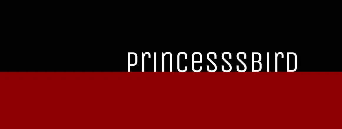 OnlyFans cuenta princesssbird header 2