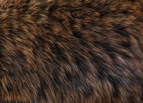 OnlyFans account  gooniebears header 2