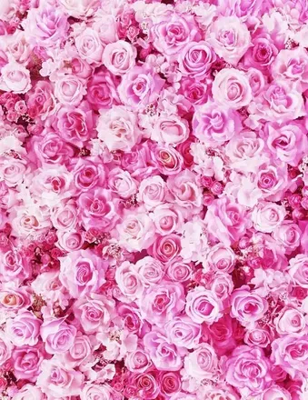 OnlyFans account  capricesun69 header 2