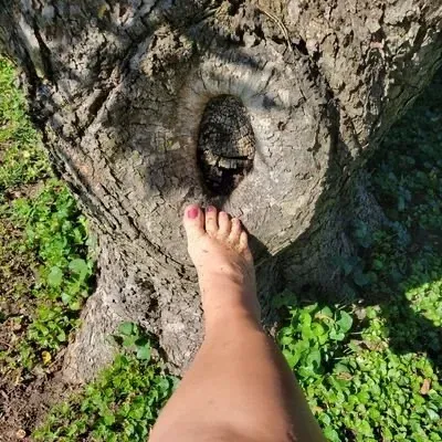 OnlyFans cuenta organicsoles avatar 1