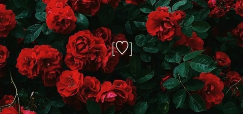 OnlyFans account  ava_dionysia header 2