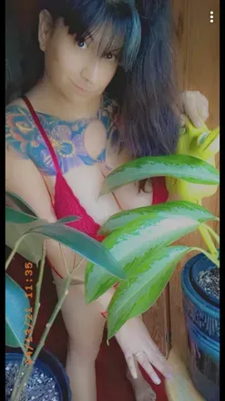 OnlyFans cuenta bettybangs75 avatar 1