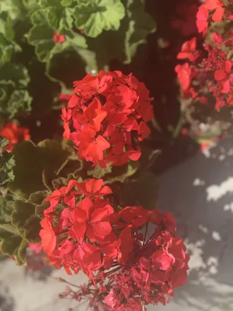 OnlyFans account  kinkuj header 2