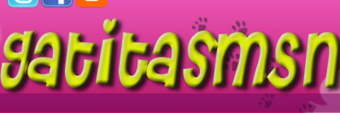 OnlyFans cuenta gatitasmsn header 2