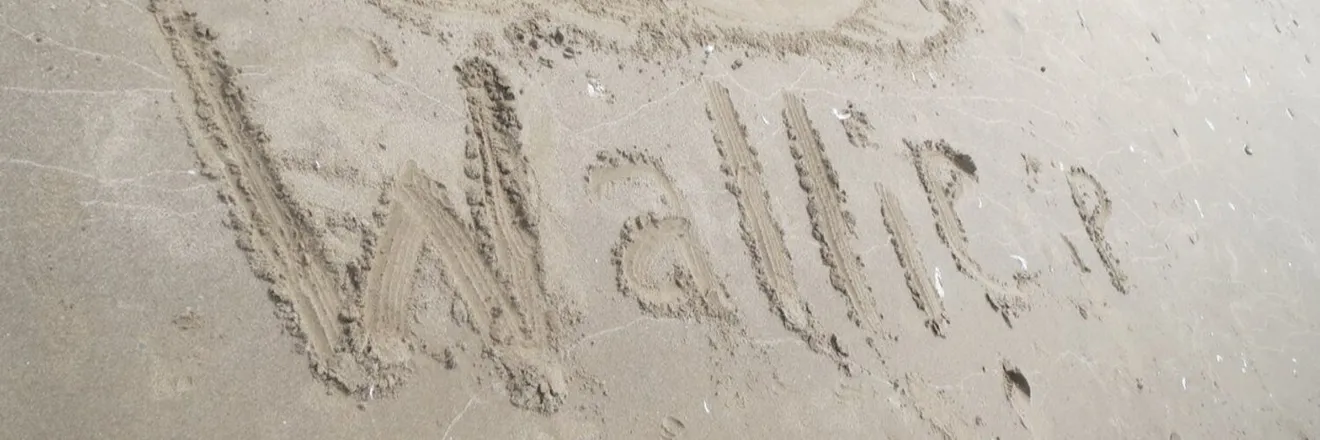 OnlyFans cuenta wallie_iii header 2