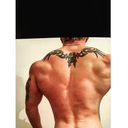 OnlyFans account  vanillagorillaco header 2