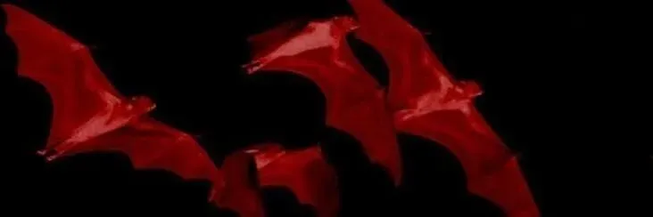 OnlyFans cuenta vxmpirecvnt header 2