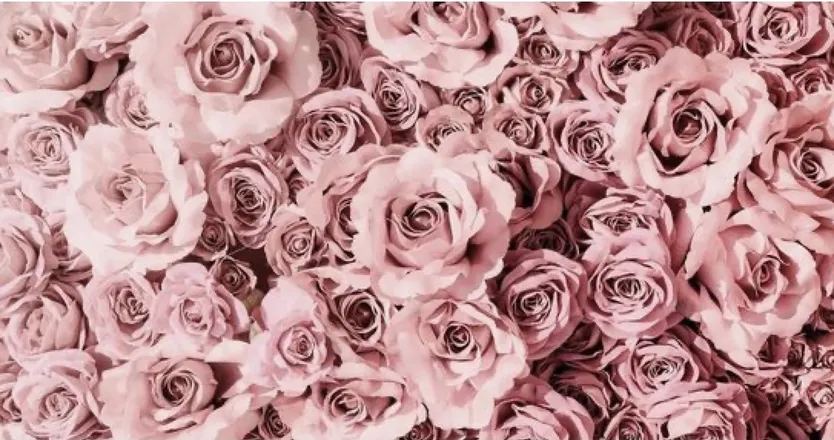 OnlyFans cuenta naturallyness header 2
