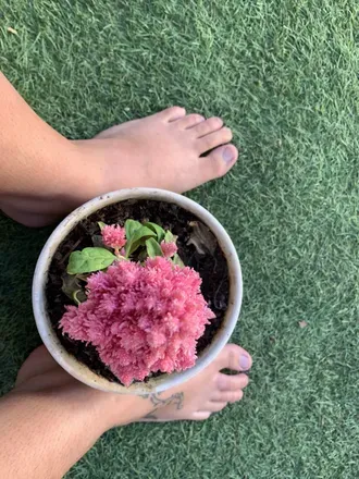 OnlyFans de feetandrosses