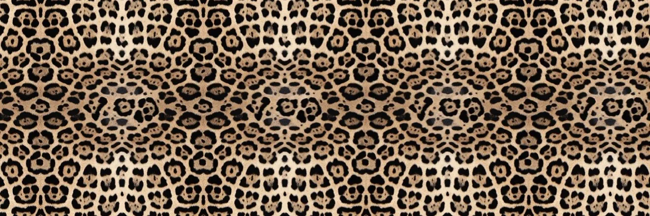 OnlyFans cuenta dixoxoxo header 2