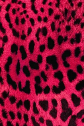 OnlyFans account  monteexo header 2