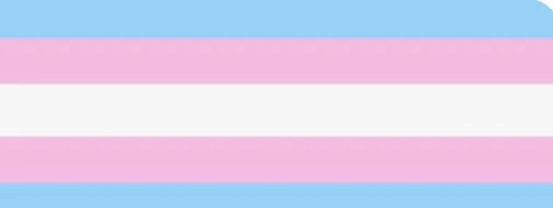 OnlyFans cuenta ashley_estrogen header 2