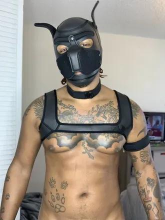 OnlyFans cuenta zaybaebae1 avatar 1