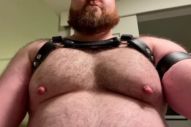OnlyFans account  moosematerial header 2