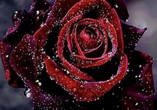 OnlyFans cuenta scarlette420love header 2