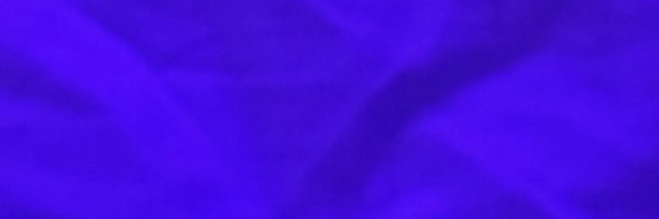 OnlyFans cuenta cameroonbee header 2