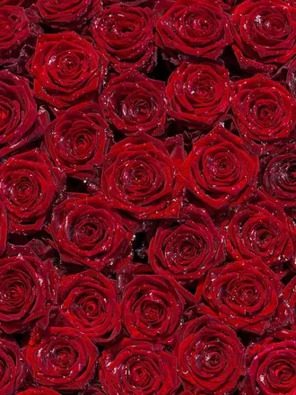 OnlyFans cuenta yourfavebony101 header 2
