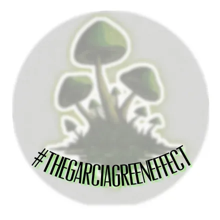 OnlyFans cuenta thegarciagreeneffect avatar 1