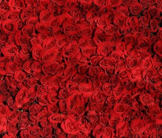 OnlyFans cuenta mistressmaddy96 header 2