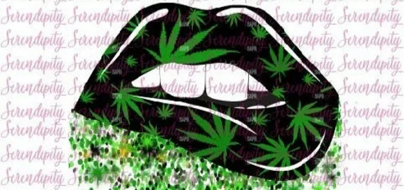 OnlyFans cuenta nastasiaxwalls header 2