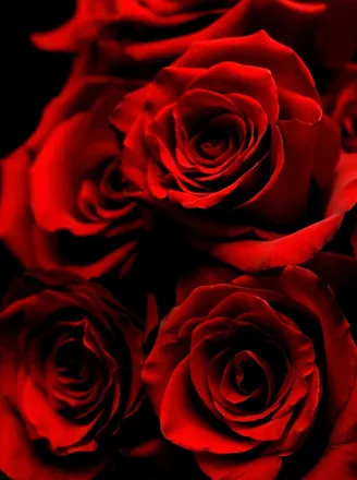 OnlyFans cuenta u118215772 header 1