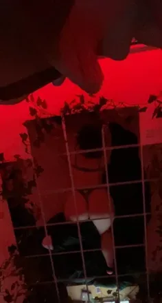 OnlyFans cuenta christine_red18 header 2