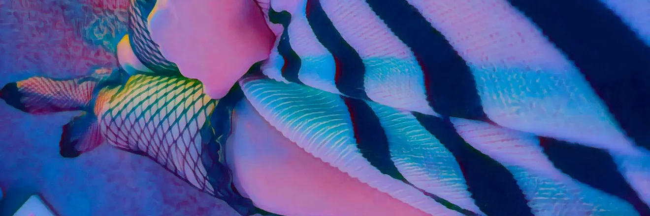 OnlyFans cuenta namelessqueenof header 2