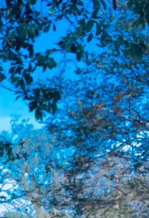 OnlyFans cuenta u52379971 header 2