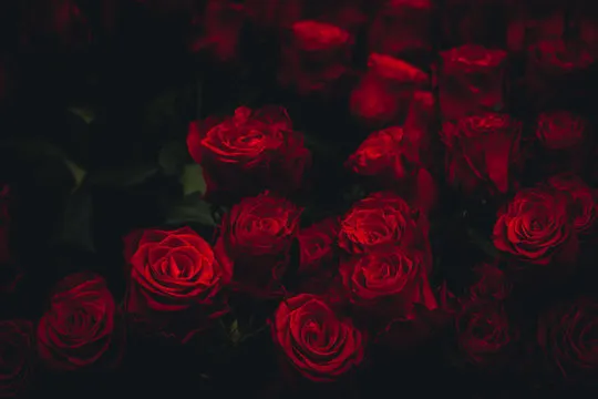 OnlyFans cuenta peaudelicate header 2