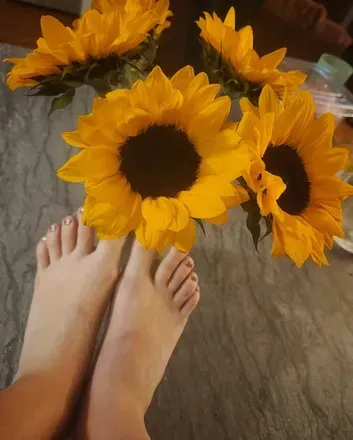 OnlyFans cuenta toesofahippie avatar 1