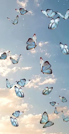 OnlyFans cuenta butterfly.jd header 2