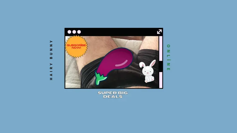 OnlyFans cuenta hairrybunny header 2