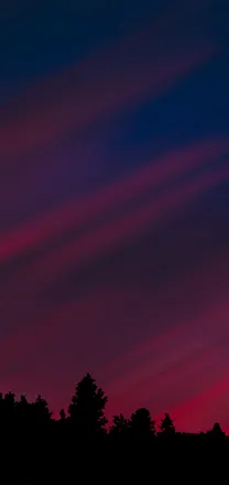 OnlyFans cuenta anonymousdosss header 1