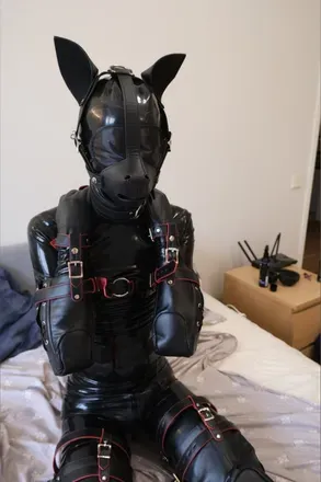 OnlyFans cuenta alexithefemboypuppy avatar 1