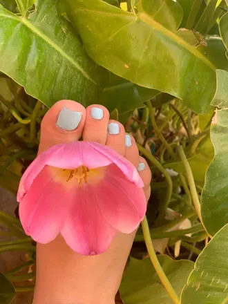 OnlyFans account  theflowerbabyyy avatar 1
