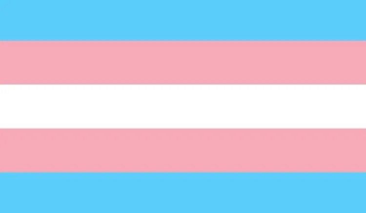 OnlyFans cuenta friendlytransgirl header 2