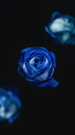 OnlyFans cuenta guidocacciatore header 2