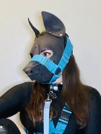 OnlyFans cuenta knightlywolfpup avatar 1