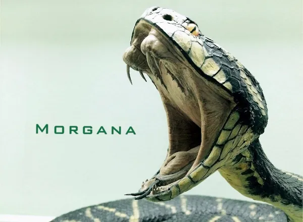 OnlyFans cuenta morganafire21 header 2
