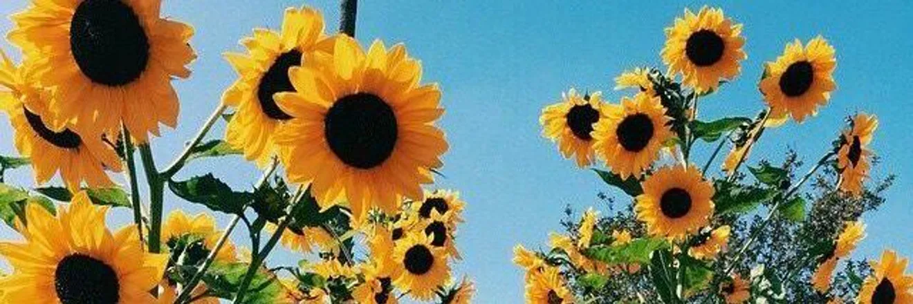 OnlyFans cuenta lidamillan header 2