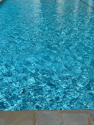 OnlyFans cuenta yourztruliii header 2