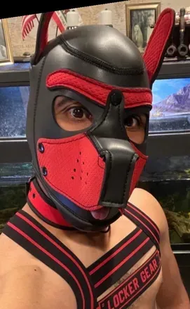 OnlyFans account  pupperatticus avatar 1