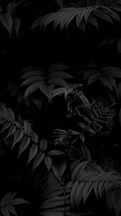 OnlyFans cuenta mileymorningstarr header 2