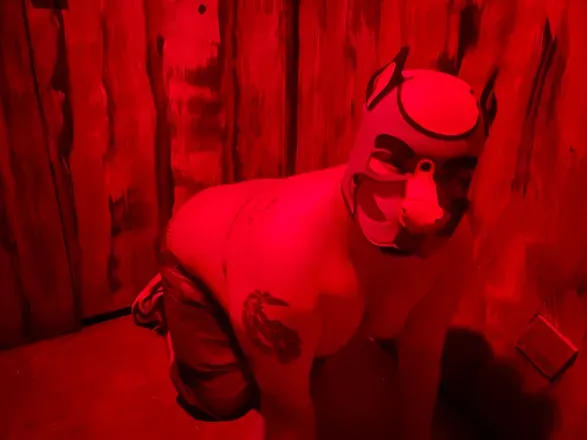OnlyFans cuenta alpha_pup_anubis avatar 1