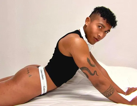 OnlyFans cuenta unleon11 header 2