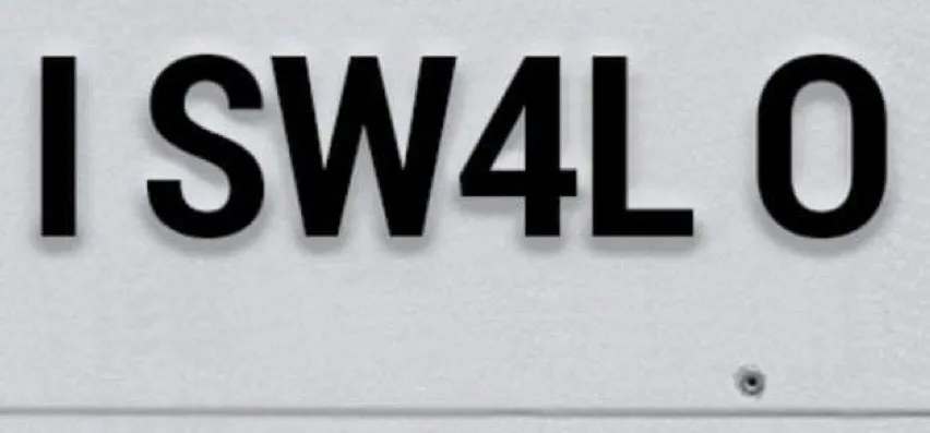 OnlyFans cuenta wild_at_heart header 2