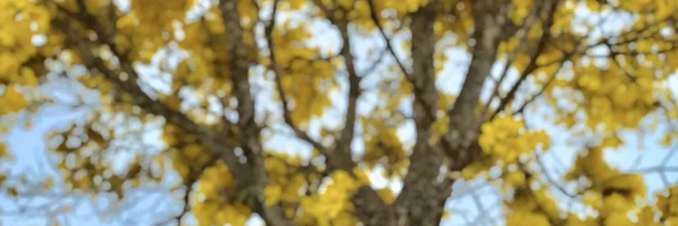OnlyFans cuenta gaabimarinari header 2